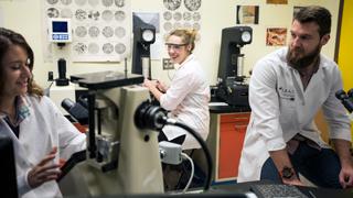 Three students are working at microscopes in a lab. The student on the right is talking while the other two are looking at her. 